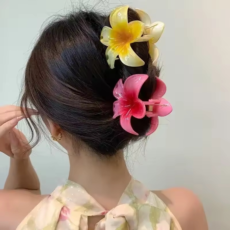    Pince à cheveux en acryliq - Women'S Accessories Accessorize avis et prix