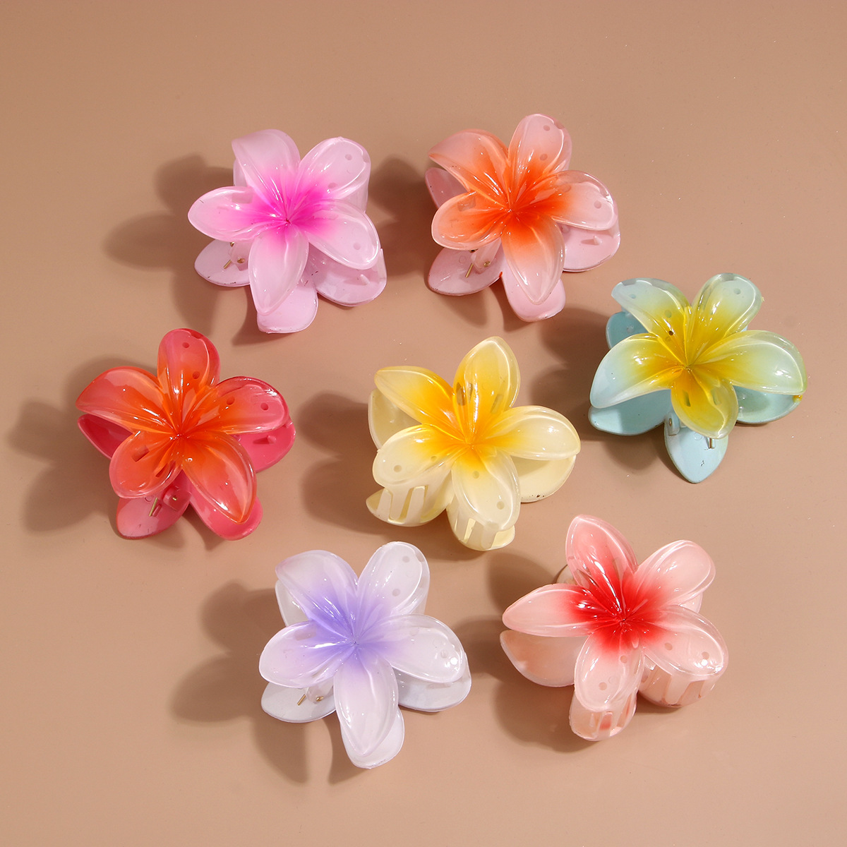    Pince à cheveux en acryliq - Women'S Accessories Accessorize avis et prix
